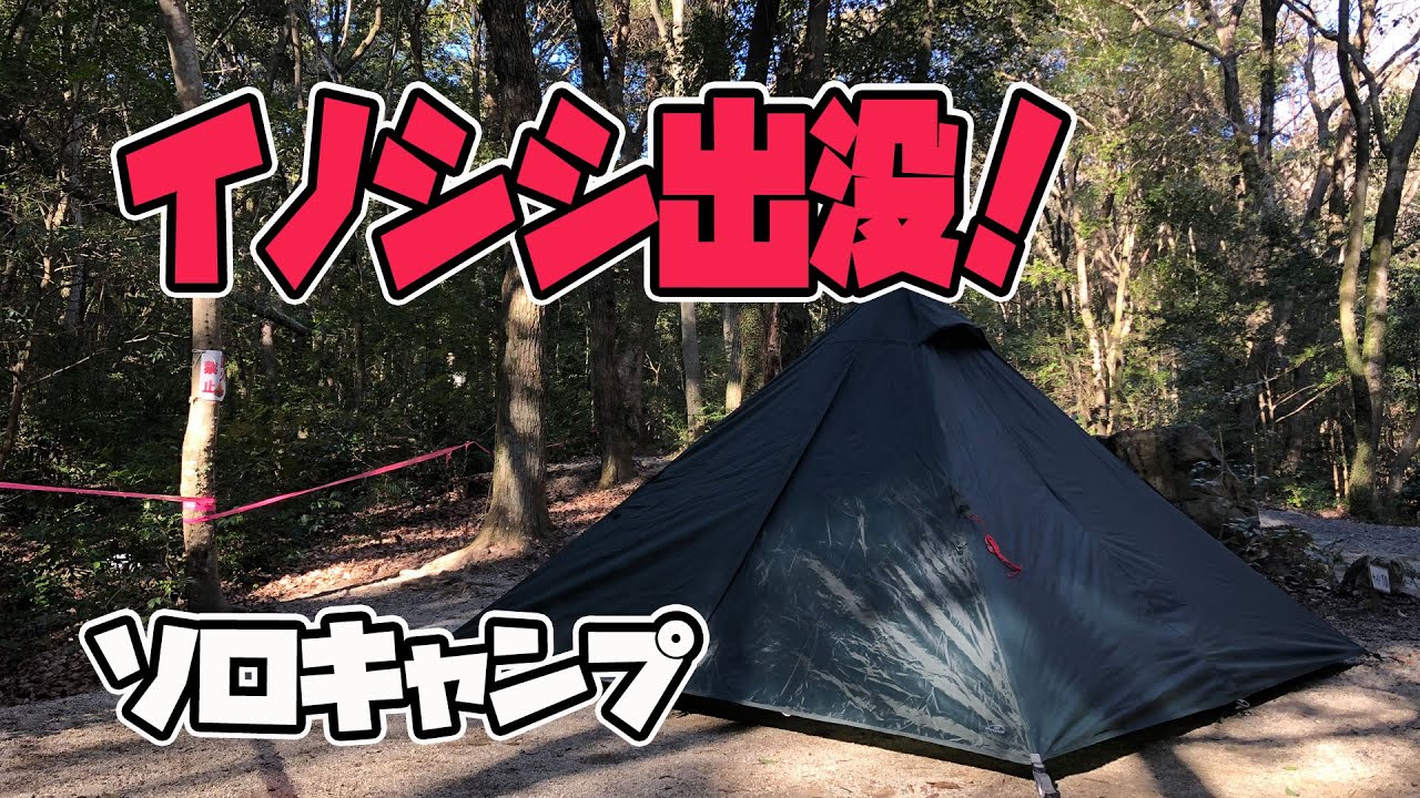 ソロキャンプ冬 イノシシ出没 無料キャンプ場 小岱山丸山キャンプ場でじじいが冬のソロキャンプ Camping Time もっとキャンプを快適に